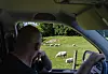 TILFØRSEL: Sauer kan få i seg parasitter når de er ute og beiter. Espedal henviser isåfall til veterinærer for behandling mot blant annet innvollsormer.