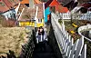 NORDNES: Her, i det gule huset og det hvite bak, har Sonja bodd både som barn og som voksen. Hun er en ekte Bergenspatriot.