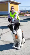 Aila Linneruds valp, Joy, ble med på streikens første dag utenfor Toyota Logistics Services Norway AS i Drammen.