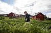 REN MAT: Mari Elin Øksendal tar turen fra Trondheim for å høste grønnsaker rett fra åkeren. Da vet hun hva hun får.