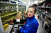 TRIST: Shabnam Mirzai er en av 20 såkalte traineer som kombinerte skolegang og jobb hos marked.no. Etterpå var de sikret jobb. Det er de ikke lenger. 
– Det er kjempetrist. Det har vært så bra å jobbe her, det er et godt miljø, og jeg har ikke kjedet meg et sekund, sier hun.