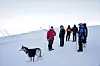 LEDER AN: Erlend Marø leder en gruppe turister. HK-Nytt ble med på tur.