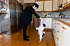 HUNDEGLAD: Susanne Abelsen har lært sin ni år gamle hund, jack russell terrieren Nico, mange triks. Her hjemme på kjøkkengulvet i Drøbak.