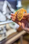 SØTEST: Cleo er en leopardgekko som opprinnelig kommer fra ørkenområdene i Afghanistan. De som er redde for slanger, pleier å være mer glad i dyr som har fire bein.
