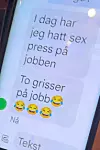 Sjefen innrømmer overfor altmuligmannen at sex var et tema på arbeidsplassen.