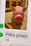 Sjefen har sendt et bilde til altmuligmannen av lekegrisen som han, ifølge dommen, pleide å ta med seg på jobb.