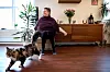 KATTEBRÅK: Pontus har pådratt Beate en politianmeldelse. Nå har han blitt innekatt.